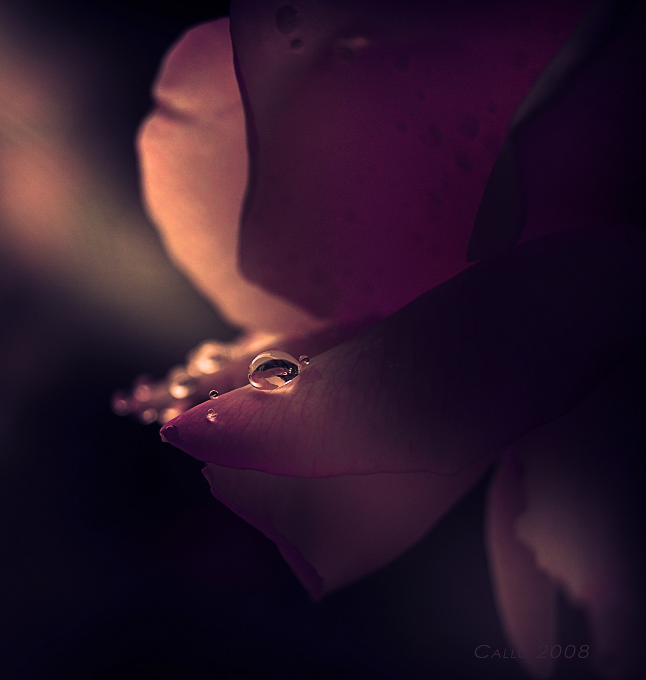    ::  2