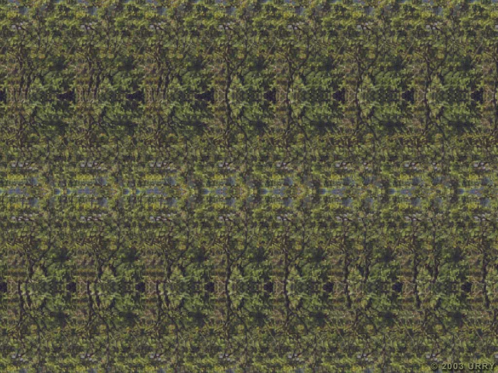   ::   ::  2