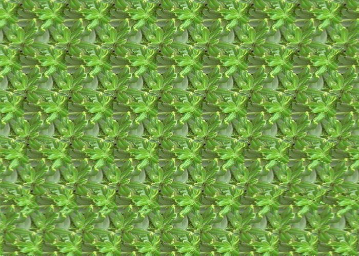   :: Magic eye ::  2