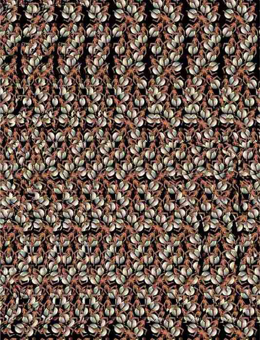   :: Magic eye ::  2