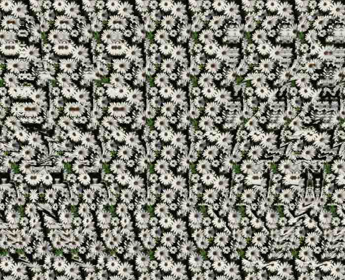   :: Magic eye ::  2