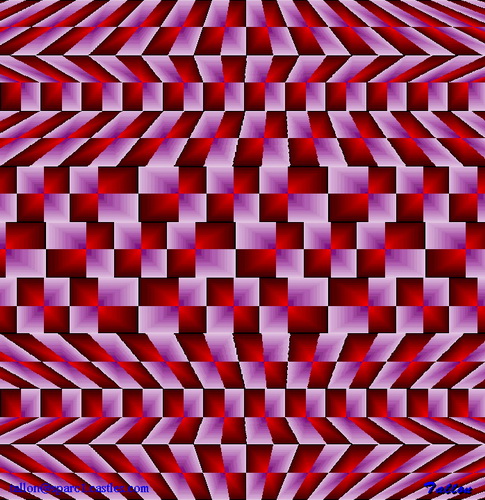SIRDS   10