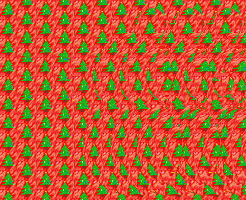 SIRDS   35