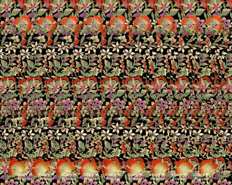 - (SIRDS) ::  2
