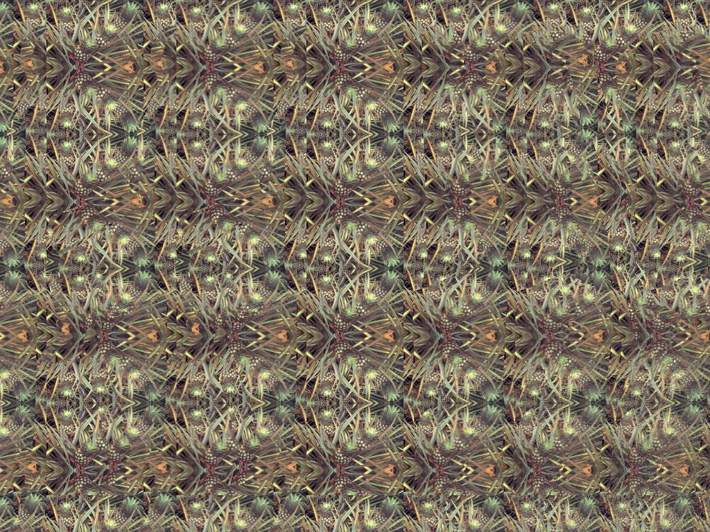   ::  2