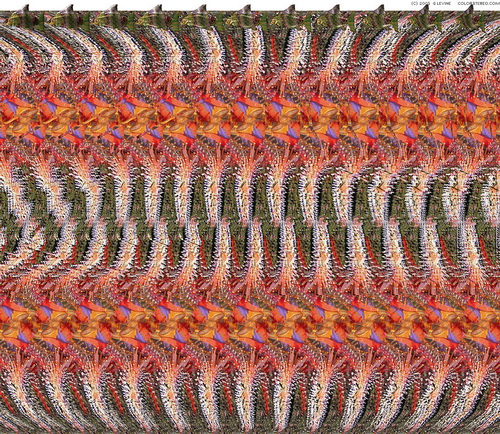    58