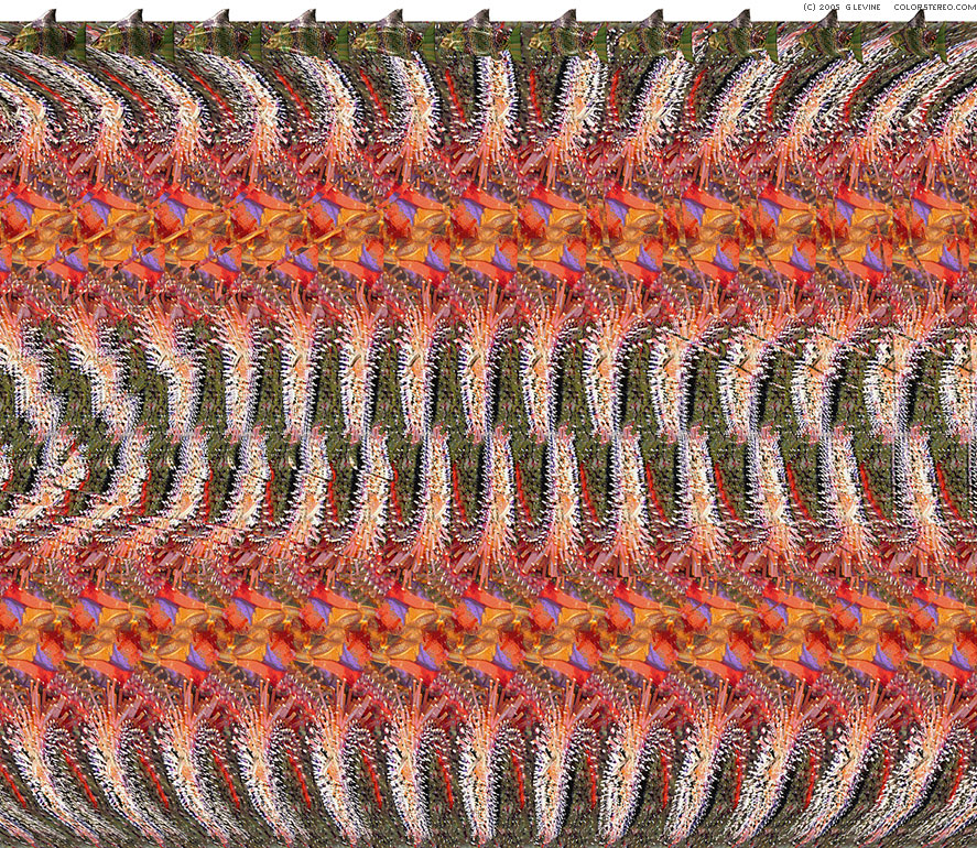   ::  2