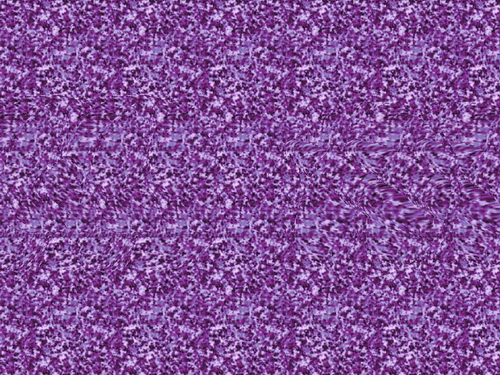   62