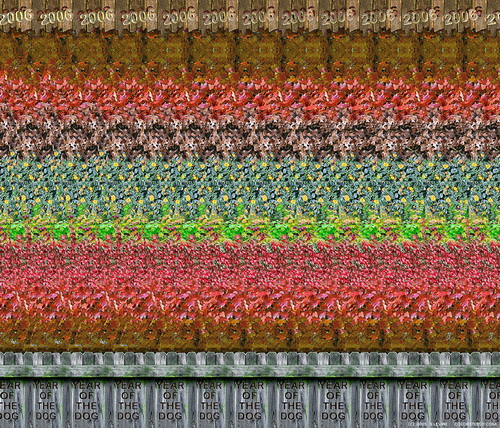    81