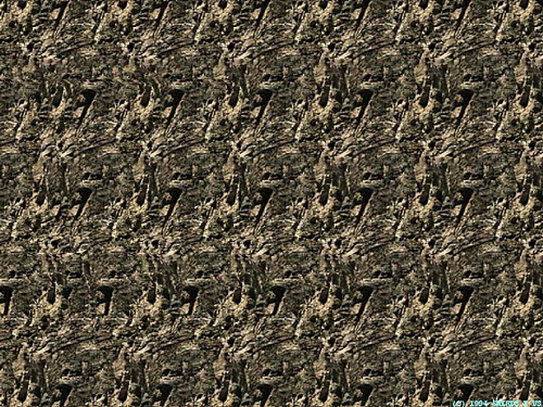    42