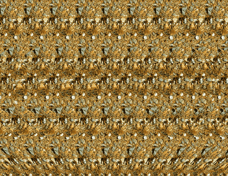   ::  2