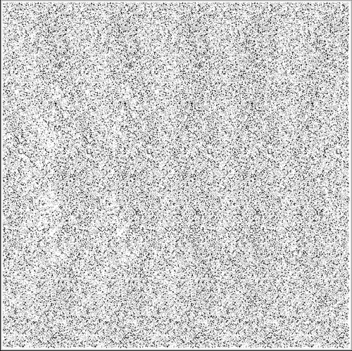    53