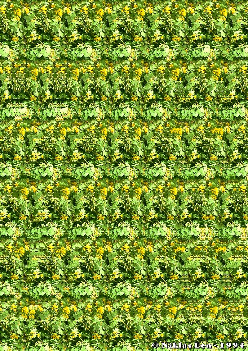   ::  2