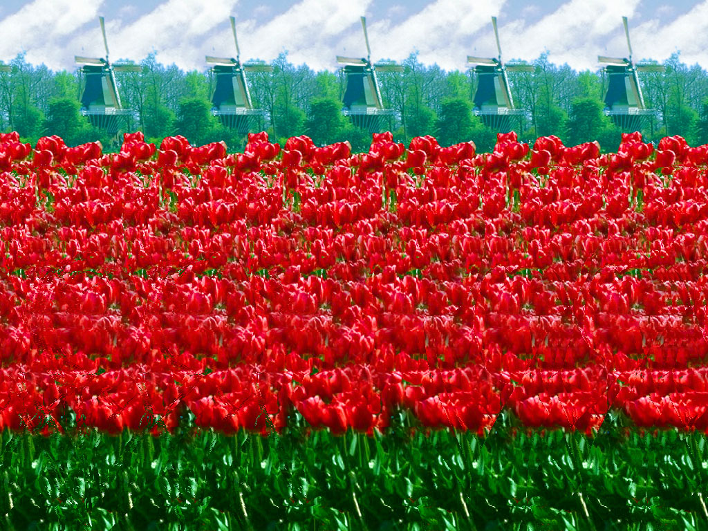   ::  2
