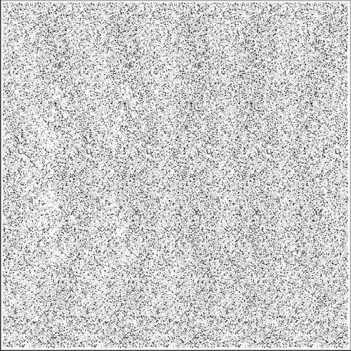 SIRDS -    13