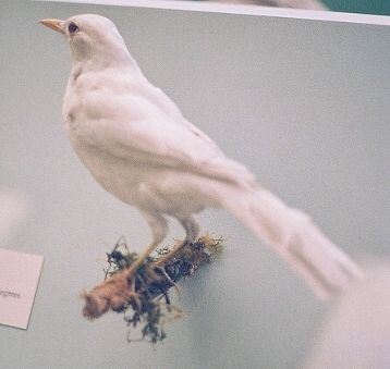 ���������� �������� :: ��������� ���� 48