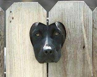���������� �������� :: �������� ���� 6