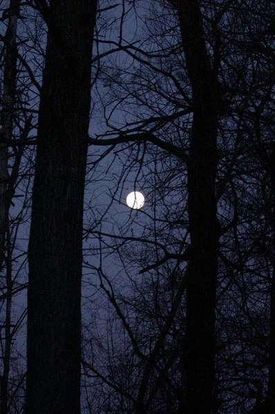 ���������� ������� :: ����������� ���������� ���� ���� 27