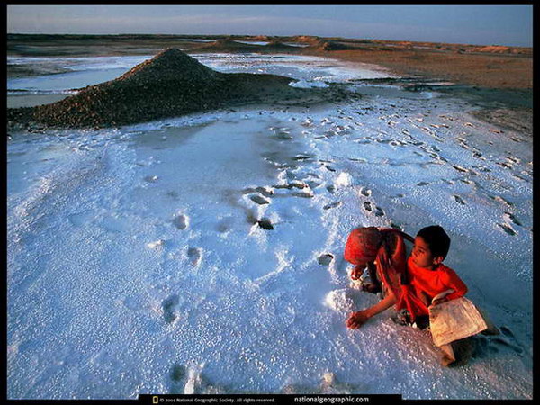 ���������� �������� :: ������� � �������� ���� 19