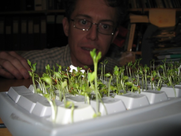 ������ ������ :: ������ ���������� ���� 7
