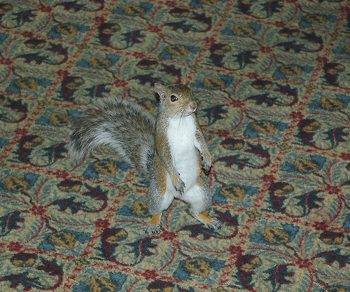 ���������� �������� :: �������� �������� ���� 16