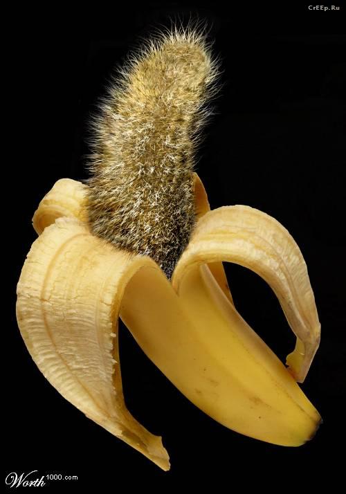 ������� :: �������� ���� ���� 5