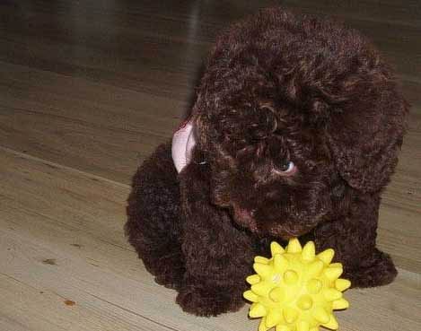 ���������� �������� :: �������� ������� ���� 6