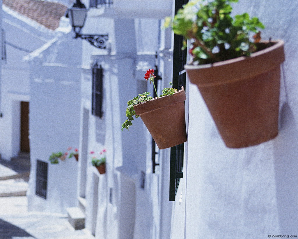 ���� �� ������� ���� :: ����� �� ������� ���� :: ���������� 1