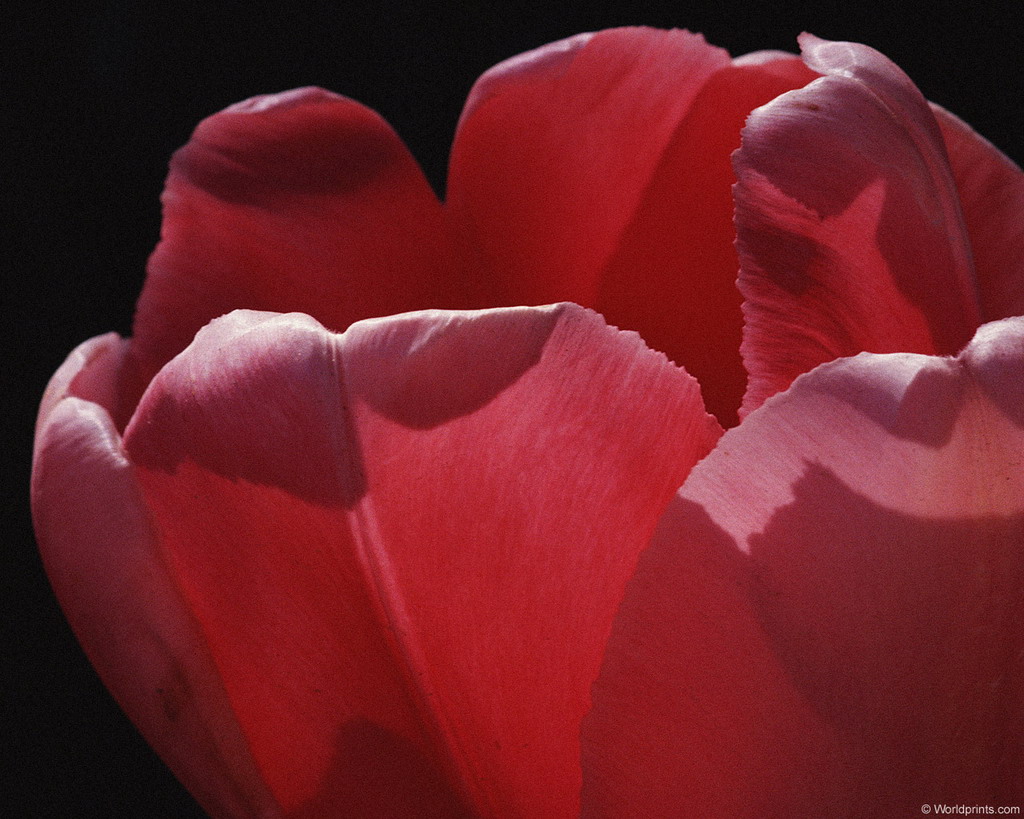 ���� �� ������� ���� :: ����� �� ������� ���� :: ���������� 1