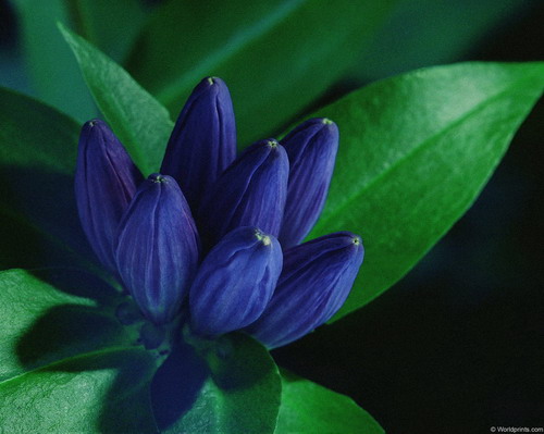 ���� �� ������� ���� :: ����� �� ������� ���� ���� 13