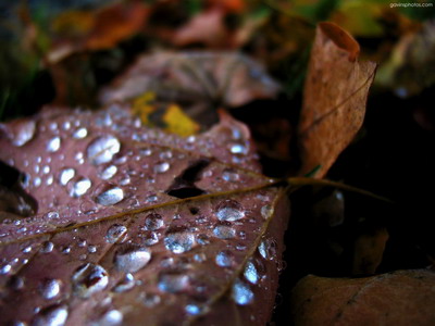���� �� ������� ���� :: ����� ���� 9