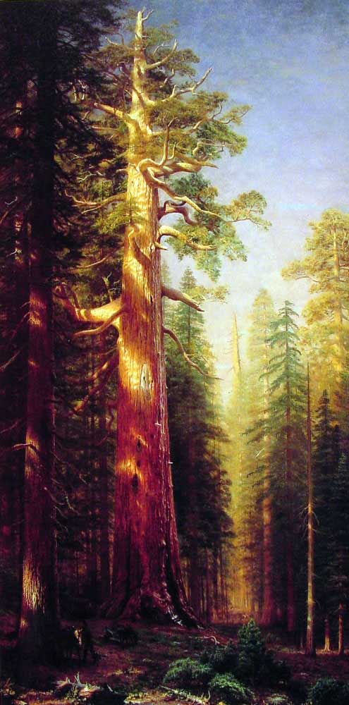 ��������� :: Albert Bierstadt :: ���������� 1