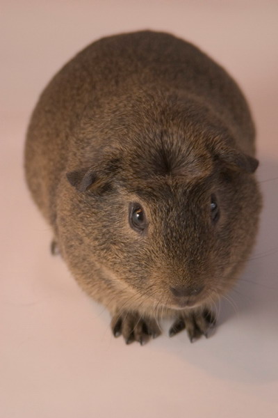 ���������� �������� :: ������� ������ ���� 3