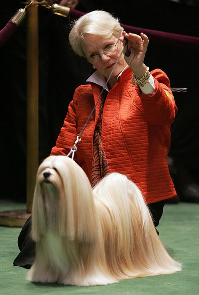 ���������� �������� :: �������� ����� ���� 21
