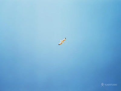 ���� �� ������� ���� :: ����� ���� ���� 11