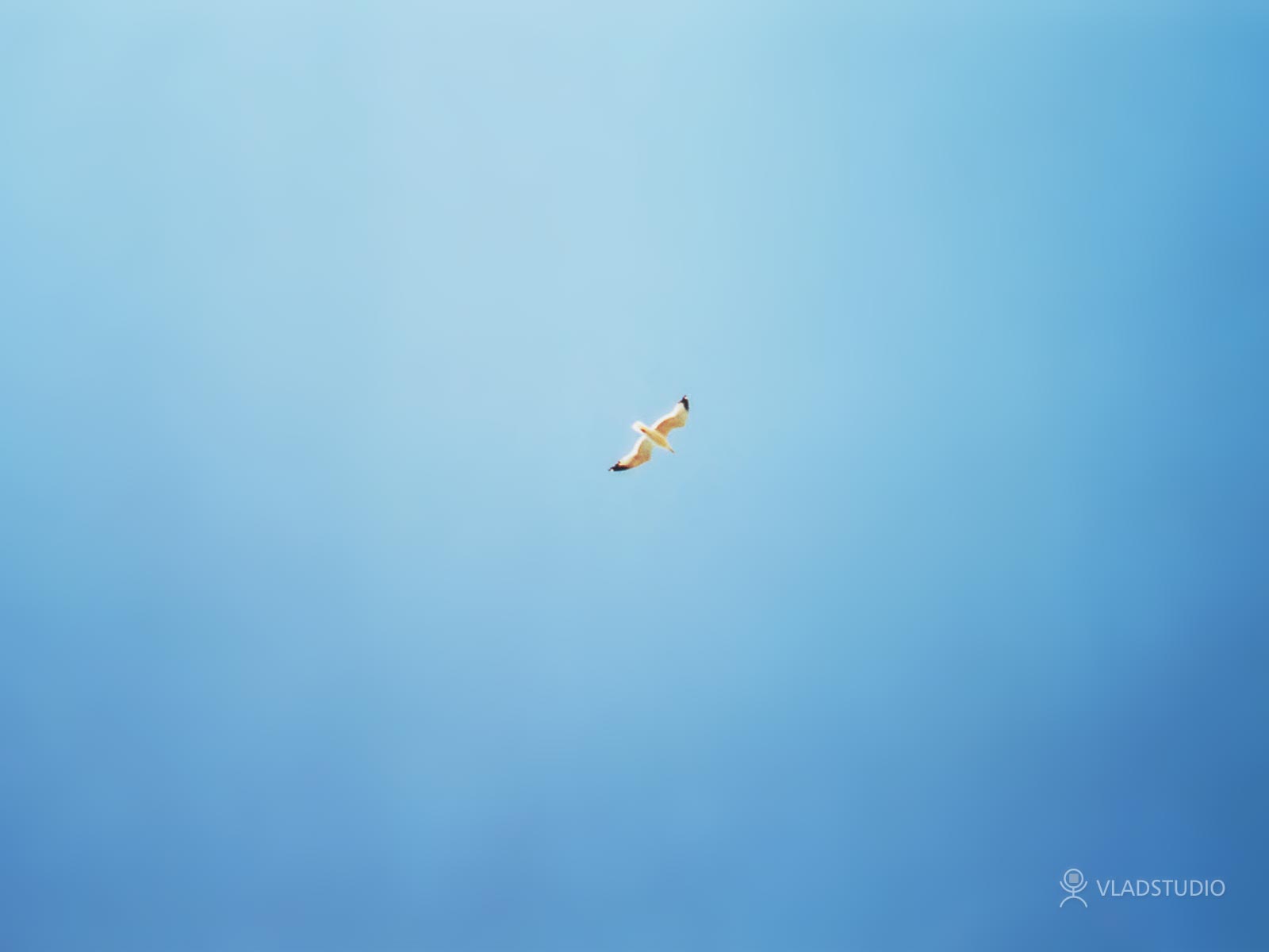���� �� ������� ���� :: ����� ���� :: ���������� 1