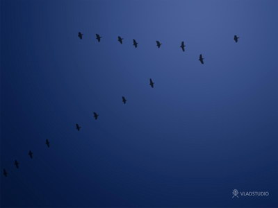 ���� �� ������� ���� :: ����� ���� ���� 22