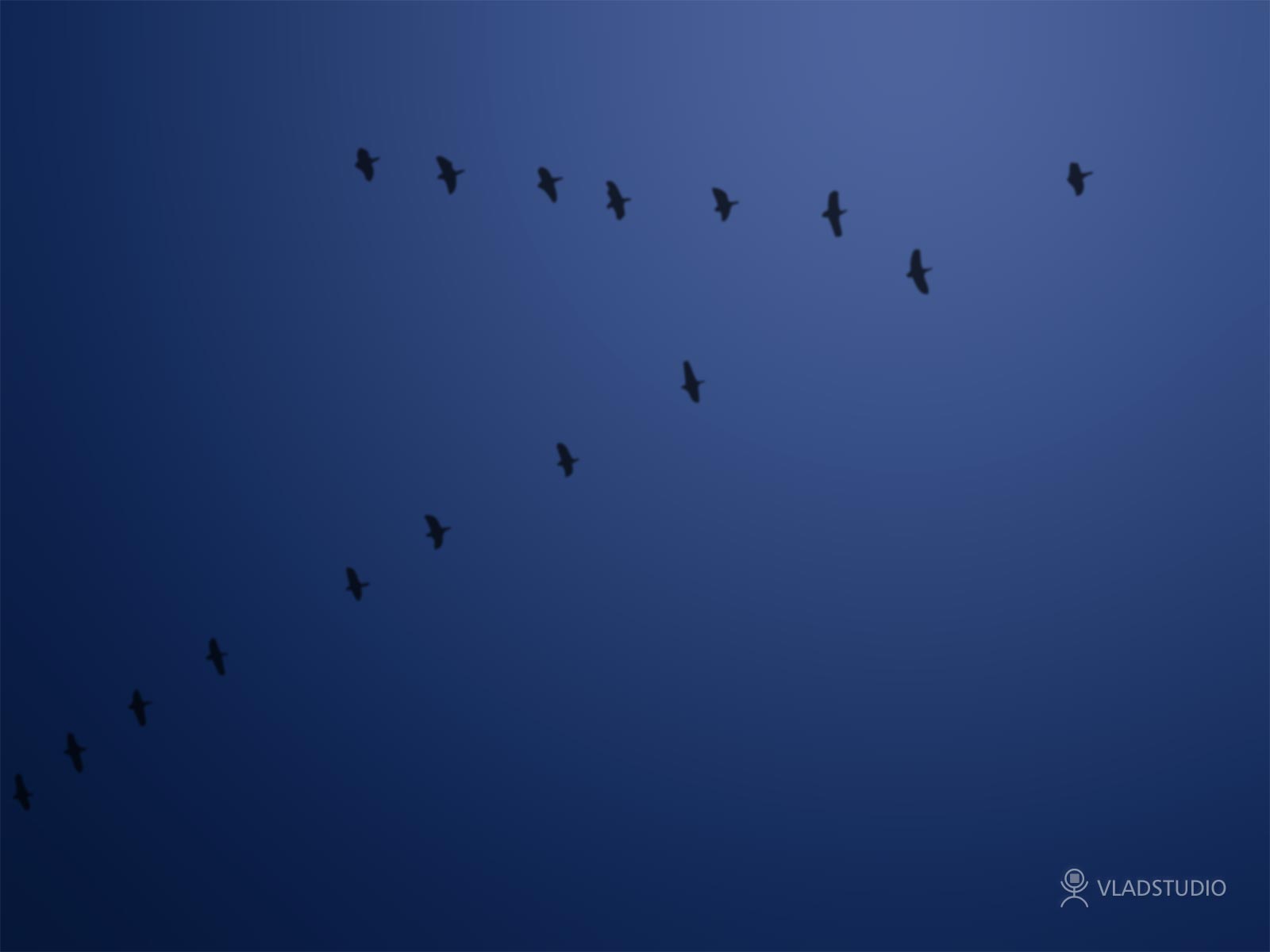 ���� �� ������� ���� :: ����� ���� :: ���������� 1