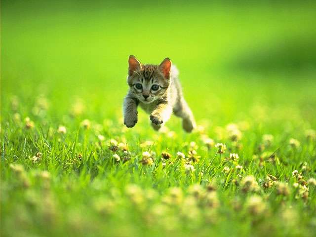 ���������� �������� :: �������������� ������... ���� 3