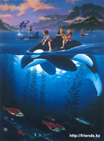 ��������� :: Jim Warren - ���������� ��� ���� 17