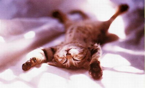 ���������� �������� :: �������� �������� ���� 5