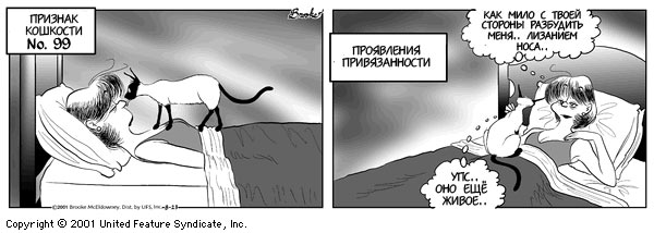 ������� �������� :: �������� �������� ���� 30