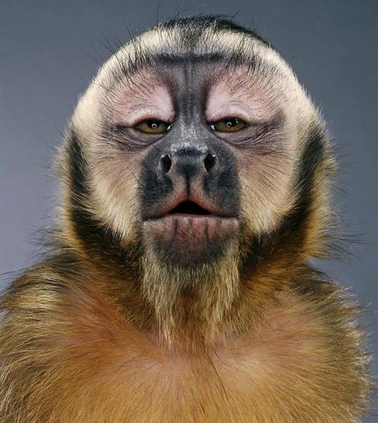 ����� �������� :: �������� ������� ���� 30