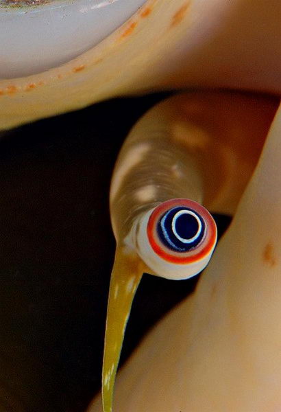 ���������� ������� :: ��������� ��� ���� 4