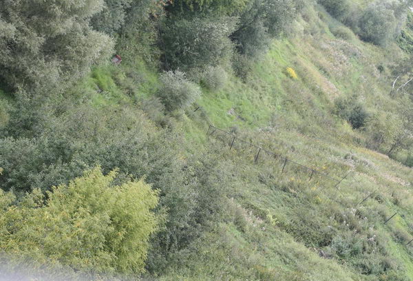 ���������� :: ������������ � HDRI ���� 7