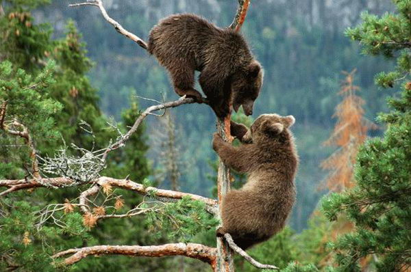 ���������� �������� :: ���! �������! ���� 7