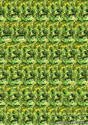 �������� �������� :: Magic eye ���� 3
