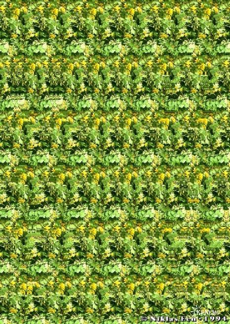 �������� �������� :: Magic eye :: ���������� 2