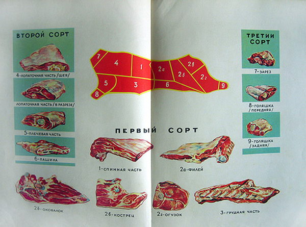 ������������ :: Made in USSR ���� 56