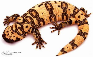 ������� :: ������� ���� 4